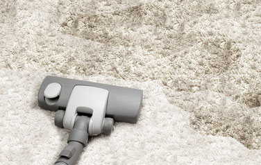 Carpet Cleaning